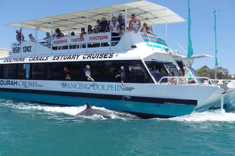 Mandurah Dolphin And Scenic Marine Cruise - Hotel Accommodation 1