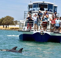 Mandurah Dolphin and Scenic Marine Cruise - Hotel Accommodation