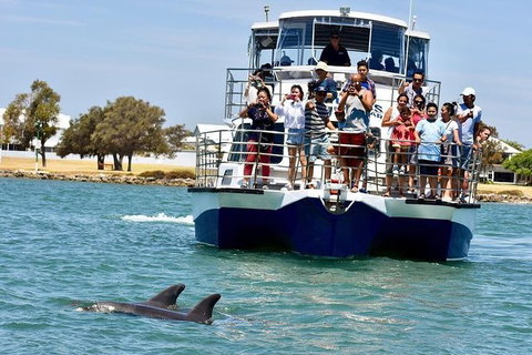 Mandurah Dolphin And Scenic Marine Cruise - Hotel Accommodation 0
