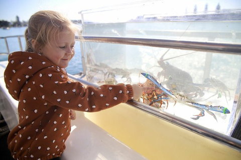 Mandurah Dolphin And Scenic Marine Cruise - Hotel Accommodation 5