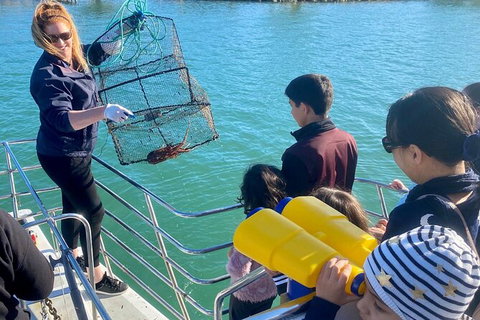Mandurah Dolphin And Scenic Marine Cruise - Hotel Accommodation 18