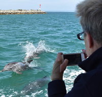 Mandurah Dolphin Island Adventure - Hotel Accommodation