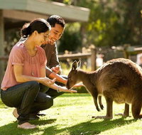 Very Best of Perth Tour - Wildlife Park  City Highlights Tour - Hotel Accommodation