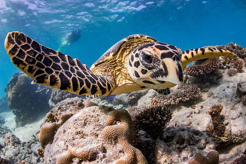 Exclusive Ningaloo Adventure Charter From Exmouth - Hotel Accommodation 1