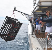 Rottnest Island Wild Seafood Package from Perth with Transfer - Hotel Accommodation
