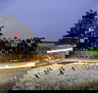 1 Day Private Phillip Island Tour VIP Charter up to 9 People - Hotel Accommodation