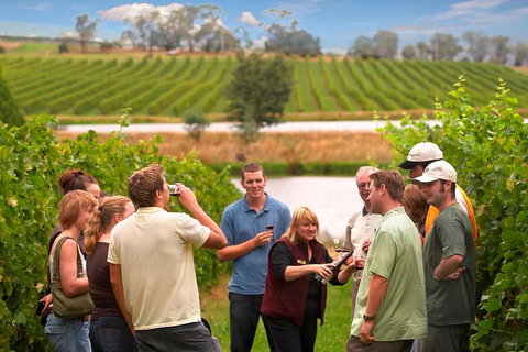 Yarra Valley Balloon Flight And Winery Tour - Hotel Accommodation 17