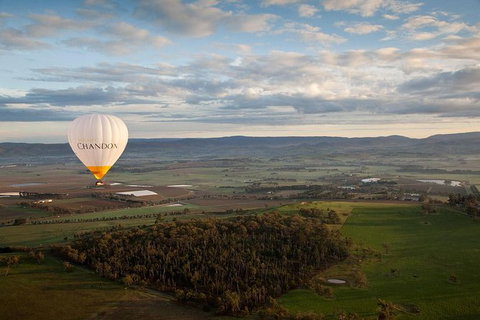 Yarra Valley Balloon Flight And Winery Tour - Hotel Accommodation 12