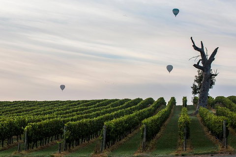 Yarra Valley Balloon Flight And Winery Tour - Hotel Accommodation 19