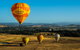 Yarra Valley Balloon Flight And Winery Tour - thumb 13