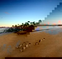 Phillip Island Ultimate Penguin Eco Tour or Skybox Experience - Hotel Accommodation