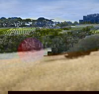 Estate to Plate Montalto Vineyard Gourmet Lunch and Wine-Tasting Tour