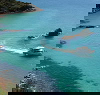 Cape Woolamai Sightseeing Cruise from San Remo - Hotel Accommodation