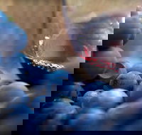 Small Group 6 guests Ultimate Mornington Peninsula Food and Wine - Hotel Accommodation