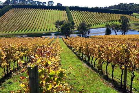 Small Group 6 Guests: Ultimate Mornington Peninsula Food And Wine - Hotel Accommodation 3