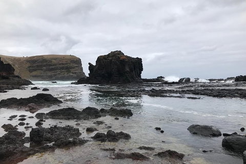 Explore Mornington Peninsula Incl. Bushrangers Bay With Organic Conservation(PT) - Hotel Accommodation 1