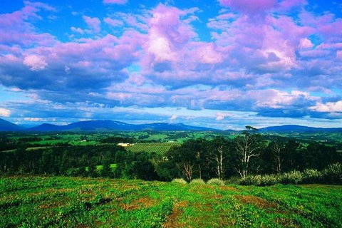 CHEVY CONVERTIBLE Package For 4 -Wine Lunch Cheese & Chocolate From Yarra Valley - Hotel Accommodation 7