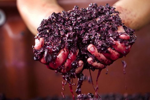 CHEVY CONVERTIBLE Package For 4 -Wine Lunch Cheese & Chocolate From Yarra Valley - Hotel Accommodation 5