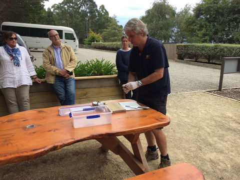 Bruny Island All Inclusive Gourmet Day Trip From Hobart - Hotel Accommodation 17