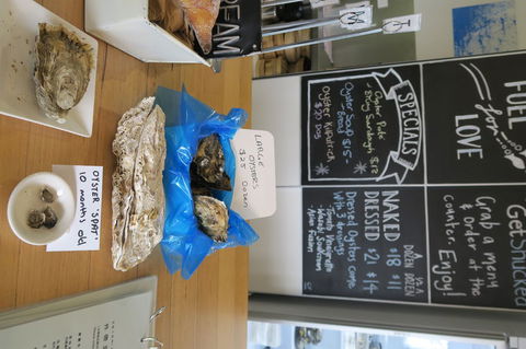 Bruny Island All Inclusive Gourmet Day Trip From Hobart - Hotel Accommodation 12