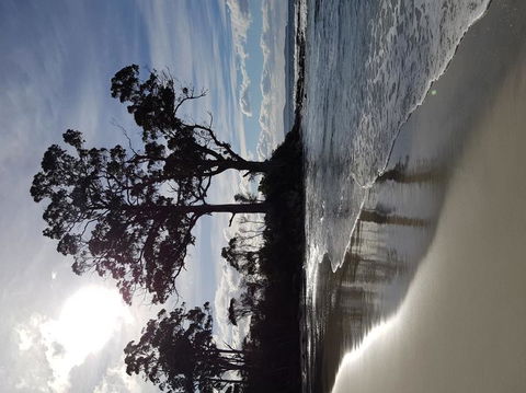 Bruny Island All Inclusive Gourmet Day Trip From Hobart - Hotel Accommodation 5