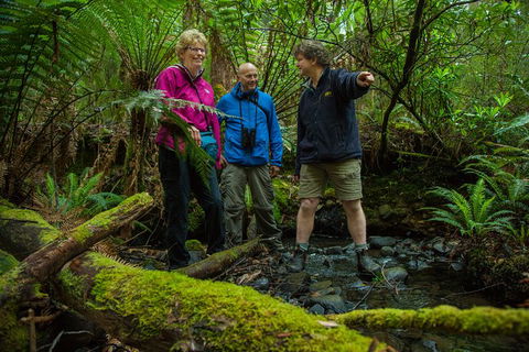 Bruny Island All Inclusive Gourmet Day Trip From Hobart - Hotel Accommodation 28