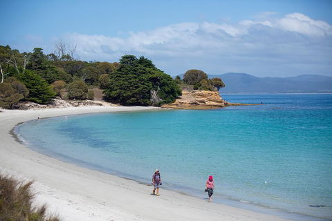 Maria Island Active Day Trip From Hobart - Hotel Accommodation 1
