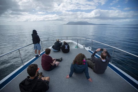 Maria Island Active Day Trip From Hobart - Hotel Accommodation 13
