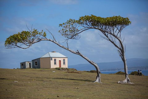 Maria Island Active Day Trip From Hobart - Hotel Accommodation 3