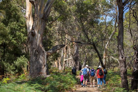 Maria Island Active Day Trip From Hobart - Hotel Accommodation 12