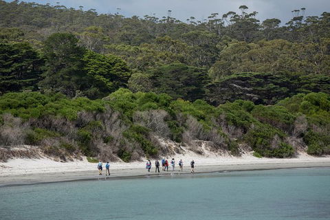 Maria Island Active Day Trip From Hobart - Hotel Accommodation 11