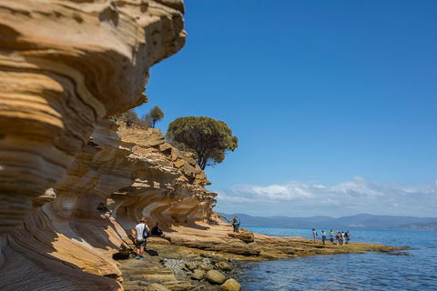 Maria Island Active Day Trip From Hobart - Hotel Accommodation 5