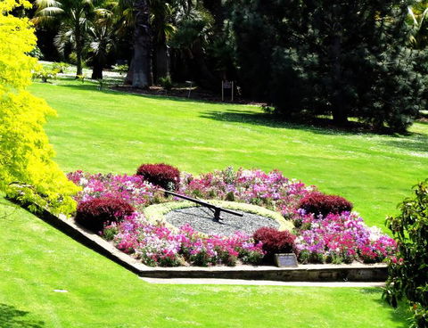 Hobart Half-Day Sightseeing Coach Tram Tour - Hotel Accommodation 5