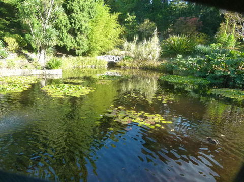 Hobart Half-Day Sightseeing Coach Tram Tour - Hotel Accommodation 14