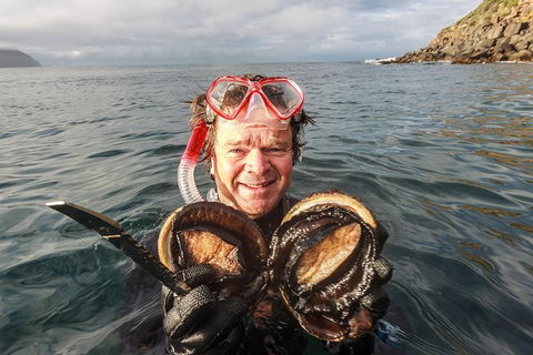 Fresh From The Ocean: Tasmanian Seafood Gourmet Full-Day Cruise Including Lunch - Hotel Accommodation 1