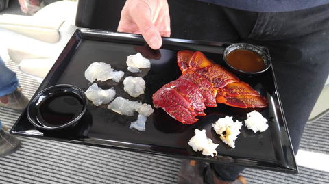 Fresh From The Ocean: Tasmanian Seafood Gourmet Full-Day Cruise Including Lunch - Hotel Accommodation 5