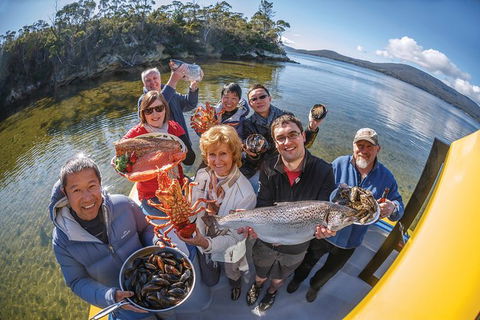 Fresh From The Ocean: Tasmanian Seafood Gourmet Full-Day Cruise Including Lunch - Hotel Accommodation 12