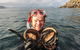 Fresh From The Ocean: Tasmanian Seafood Gourmet Full-Day Cruise Including Lunch - thumb 13