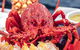 Fresh From The Ocean: Tasmanian Seafood Gourmet Full-Day Cruise Including Lunch - thumb 15