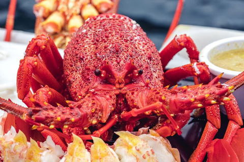Fresh From The Ocean: Tasmanian Seafood Gourmet Full-Day Cruise Including Lunch - Hotel Accommodation 15