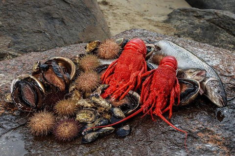 Fresh From The Ocean: Tasmanian Seafood Gourmet Full-Day Cruise Including Lunch - Hotel Accommodation 16