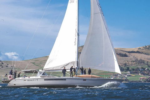 Half-Day Sailing On The Derwent River From Hobart - Hotel Accommodation 5