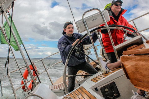 Half-Day Sailing On The Derwent River From Hobart - Hotel Accommodation 4