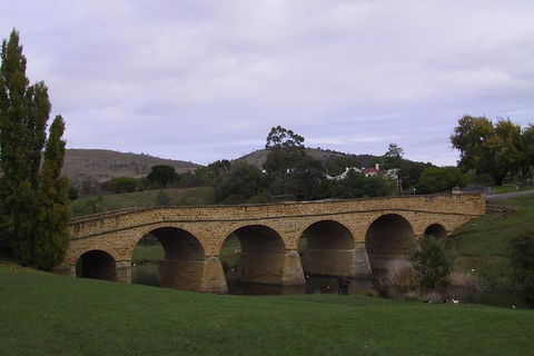 Hobart Shore Excursion: Half Day Bonorong Wildlife Park With Richmond Tour - Hotel Accommodation 1