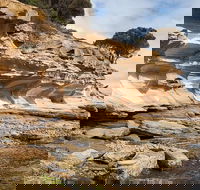 Maria Island premium private photo-oriented day tour from Hobart - Hotel Accommodation