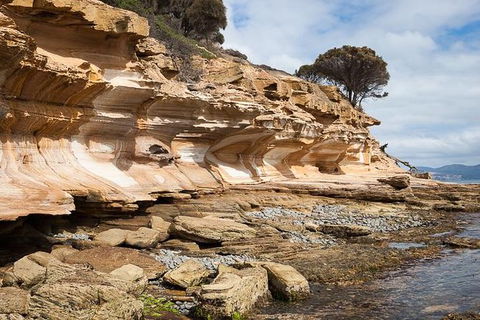 Maria Island Premium Private Photo-oriented Day Tour From Hobart - Hotel Accommodation 2