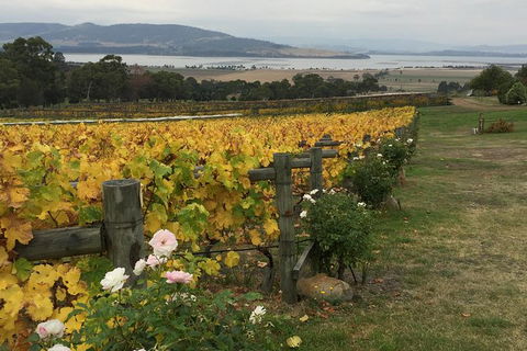 Mona And Wine Experience Tour - Hotel Accommodation 0
