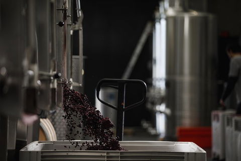 Private 90-minute Moorilla Estate Winery Tour With Tastings And Free Wine Gift - Hotel Accommodation 1