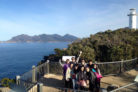 3-Day Tasmania Combo: Hobart To Launceston Active Tour - Hotel Accommodation 0