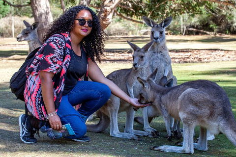 3-Day Tasmania Combo: Hobart To Launceston Active Tour - Hotel Accommodation 19